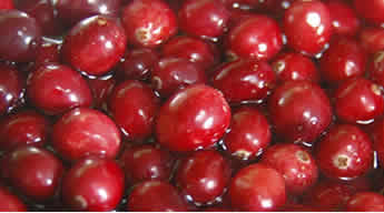 cranberry fruit