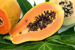 Papaya